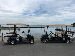 put in bay golf cart rentals